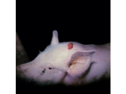 The Damned - Strawberries (40th Anniversary Edition) (CD)