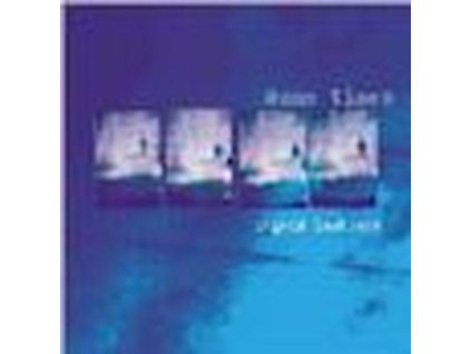 Ingrid Laubrock - Some Times (CD)