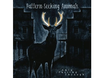 Pattern-Seeking Animals - Only Passing Through (CD)