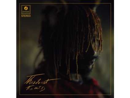 Thundercat - It Is What It Is (CD)