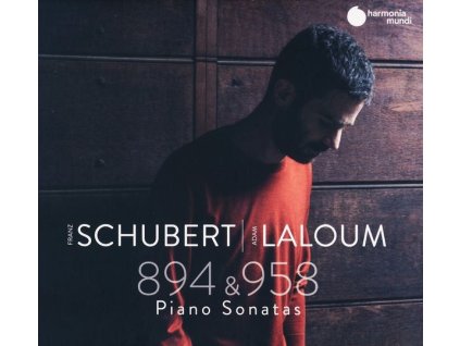 Franz Schubert (1797-1828) - Klaviersonaten D.894 & 958 (CD)