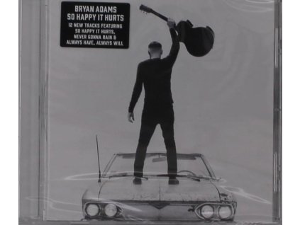 Bryan Adams - So Happy It Hurts (CD)