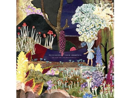 Psychedelic Porn Crumpets - And Now For The Whatchamacallit (CD)