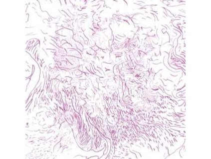 Tom Skinner - Voices Of Bishara (CD)