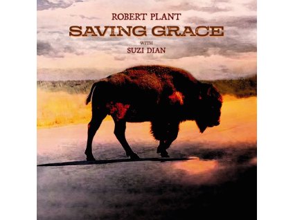 Robert Plant - Saving Grace (CD)