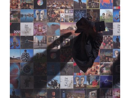 Pink Floyd - A Foot In The Door: The Best Of Pink Floyd (CD)