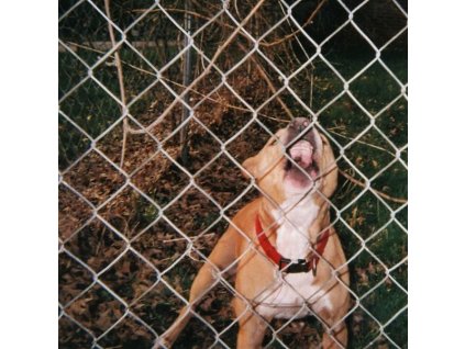 Knocked Loose - Pop Culture (CD)