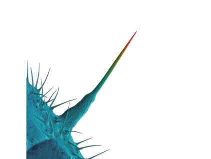 Peter Gabriel - And I'll Scratch Yours (CD)