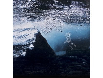 Isgaard - The Water In You (CD)