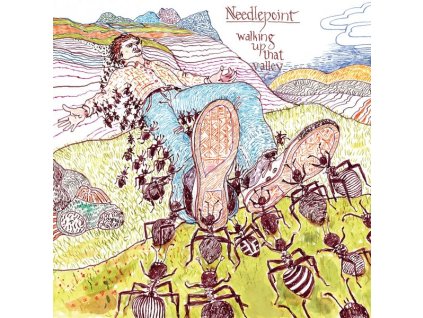 Needlepoint - Walking Up That Valley (CD)
