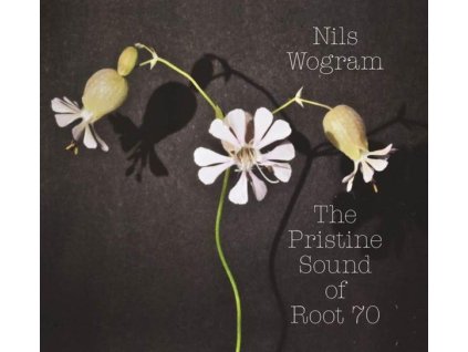Nils Wogram - The Pristine Sound Of Root 70 (CD)
