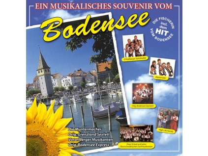 Various Artists - Ein musikalisches Souvenir vom... (CD)
