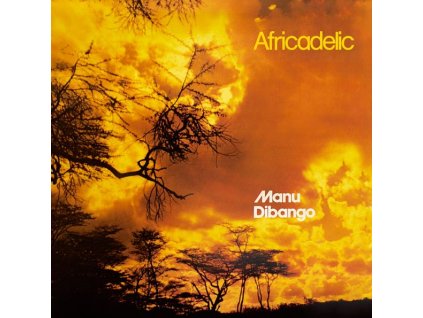 Manu Dibango (1933-2020) - Africadelic (CD)
