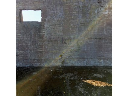 Desperate Journalist - In Search Of The Miraculous (CD)