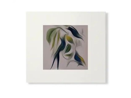 Susumu Yokota - Sakura (Skintone Edition) (CD)