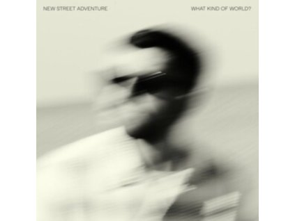 New Street Adventure - What Kind Of World? (CD)