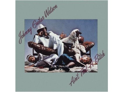 Johnny 'Guitar' Watson - Ain't That A Bitch (CD)