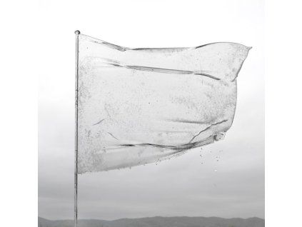 3792518 dool the shape of fluidity cd