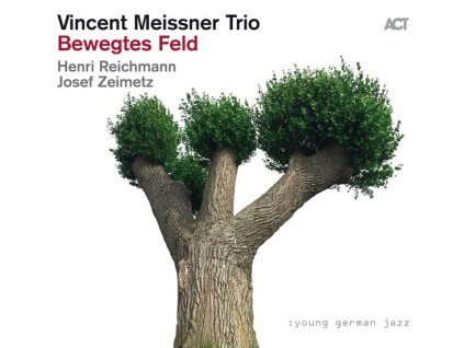 Vincent Meissner - Bewegtes Feld (CD)
