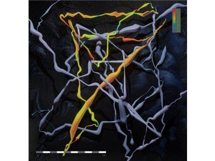 3798392 folly group down there cd