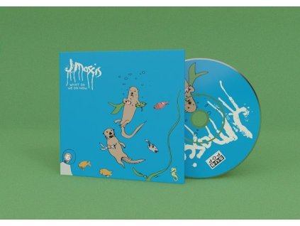 J Mascis - What Do We Do Now (CD)