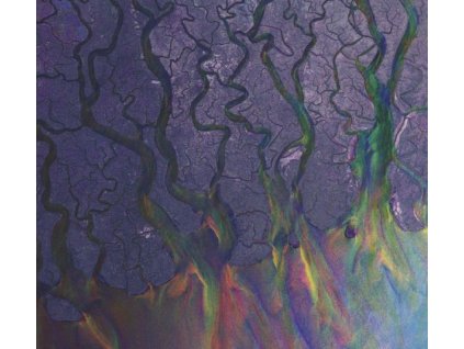 alt-J - An Awesome Wave (CD)