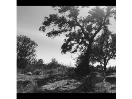 Zoh Amba - O, Sun (CD)