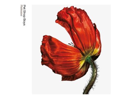 Pet Shop Boys - Release: Further Listening 2001 - 2004 (CD)