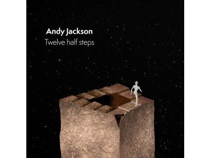3801491 andy jackson twelve half steps cd