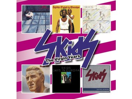 Skids - The Virgin Years (CD)
