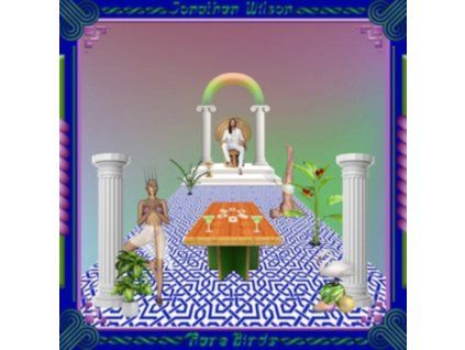 3805202 jonathan wilson rare birds cd