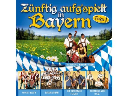 Various Artists - Zünftig aufgspielt in Bayern (CD)