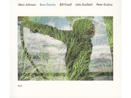 Marc Johnson - Bass Desires (CD)