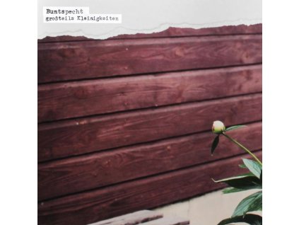 Buntspecht - Großteils Kleinigkeiten (CD)