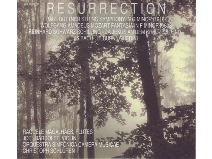 Paul Büttner (1870-1943) - Streichquartett g-moll (arr. für Streichorchester) (CD)