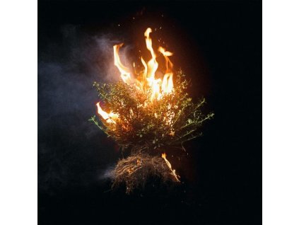 Elevation Worship - Can You Imagine (CD)