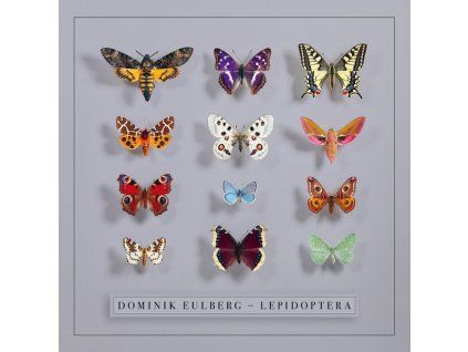 3821774 dominik eulberg lepidoptera cd