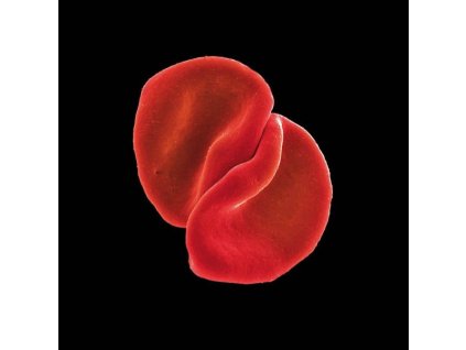 Peter Gabriel - Scratch My Back (CD)