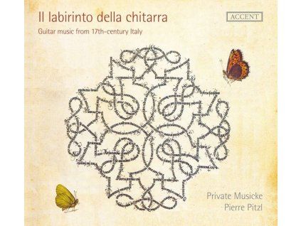 3828527 il labirinto della chitarra cd