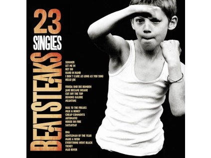 Beatsteaks - 23 Singles (CD)