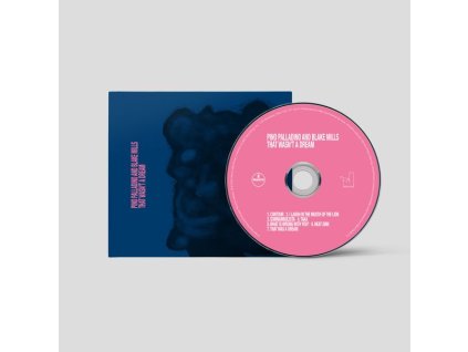 Pino Palladino & Blake Mills - That Wasn't A Dream (CD)