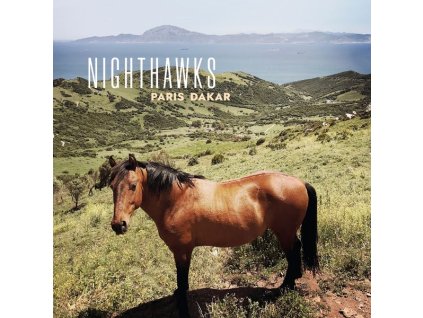 Nighthawks (Dal Martino/Reiner Winterschladen) - Paris-Dakar (CD)