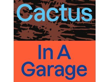 3848495 cactus in a garage cd