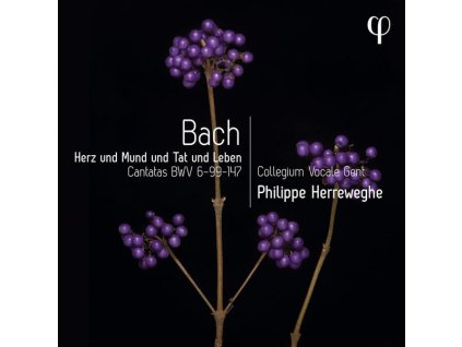 Johann Sebastian Bach (1685-1750) - Kantaten BWV 6,99,147 (CD)