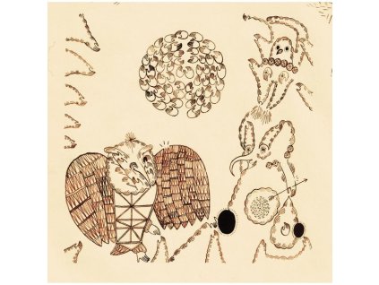 Devendra Banhart - Rejoicing In The Hands (CD)