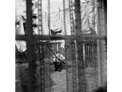 Paul McCartney - Chaos And Creation In The Backyard (CD)