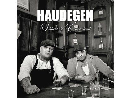 3873407 haudegen schlicht ergreifend cd