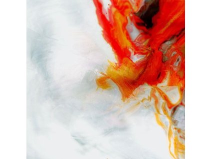 Nevertel - Start Again (CD)