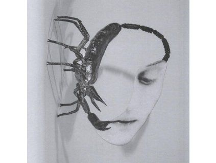 3885155 tortoise touch cd