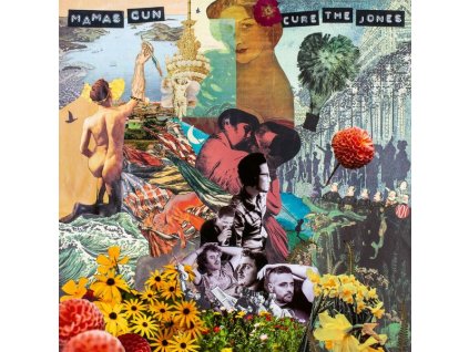 Mamas Gun (Soul) - Cure The Jones (CD)